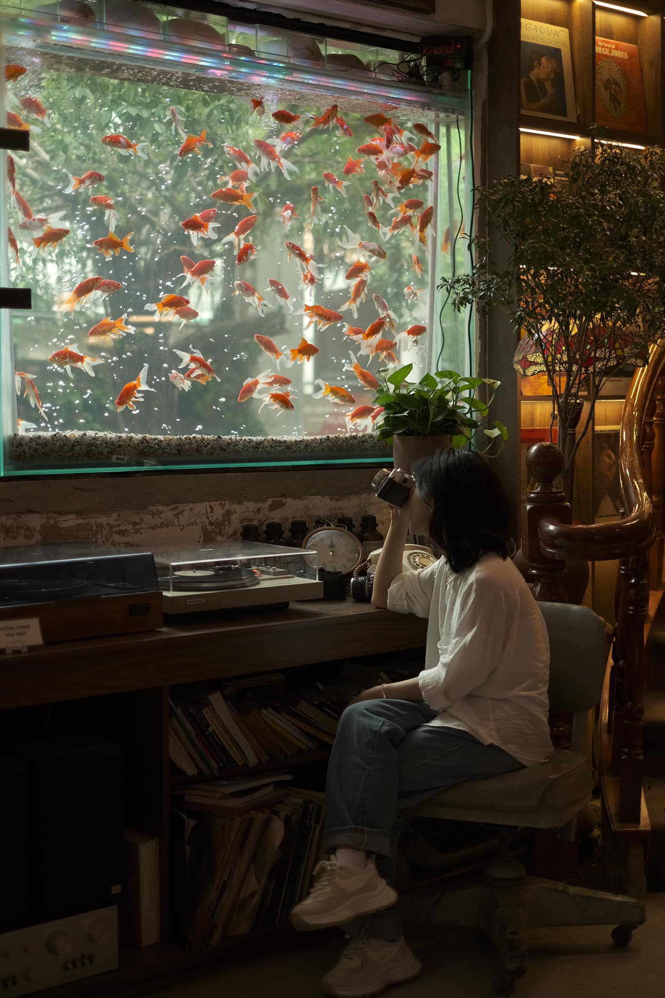 🌿 NGÂM – Không gian biệt thự cổ giữa lòng Quận 3